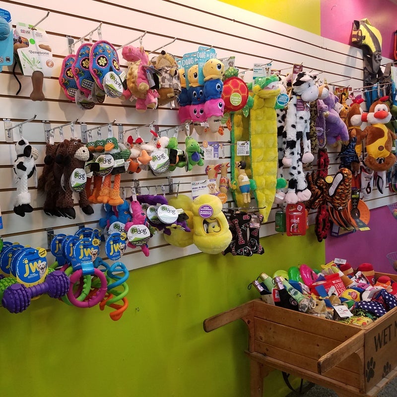 Pet valu clearance dog toys